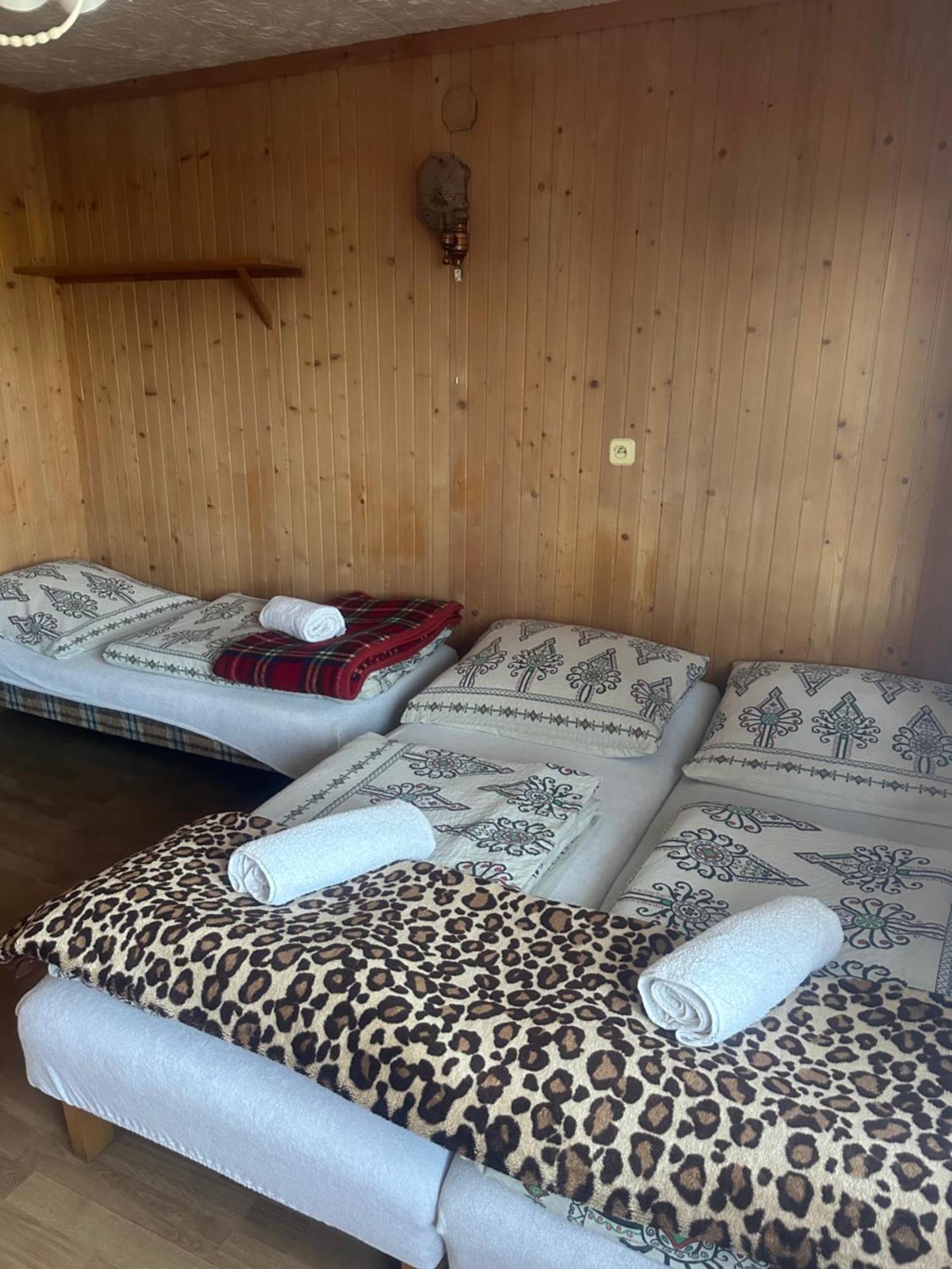 Pokoje Goscinne U Zofii Bukowina Tatrzańska Exterior foto